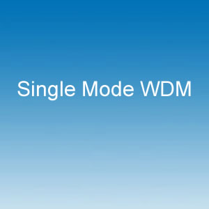 Single Mode WDM
